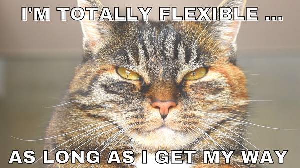 cat image with text overlay I'm totally flexible as long as i get my way